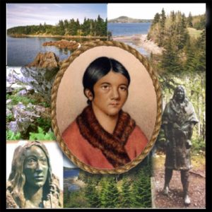 Beothuk Institute Beothuk Institute