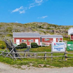 Experience Fogo Site Experience Fogo Site