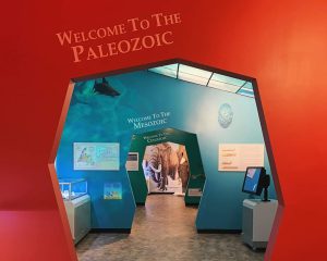 Fortune Head Geology Centre Fortune Head Geology Centre