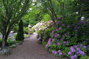 Memorial University Botanical Garden Memorial University Botanical Garden