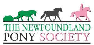 The Newfoundland Pony Society The Newfoundland Pony Society