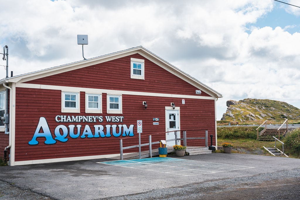 Champney’s West Aquarium